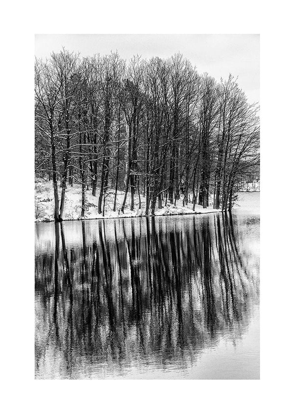 Træer der spejler i søen plakat
