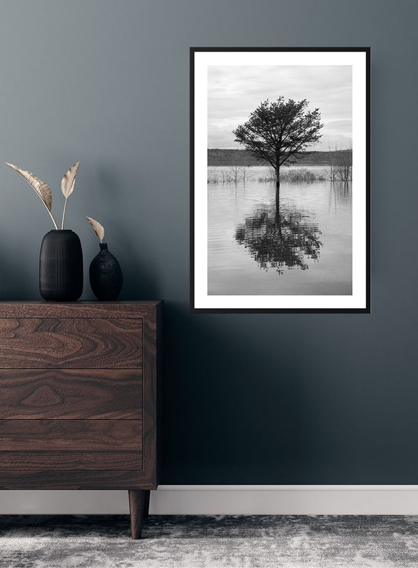 Træ der spejler i søen plakat