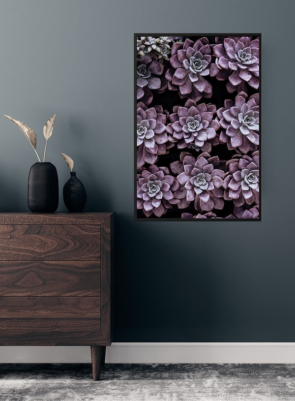 Lilla Sukkulent plakat