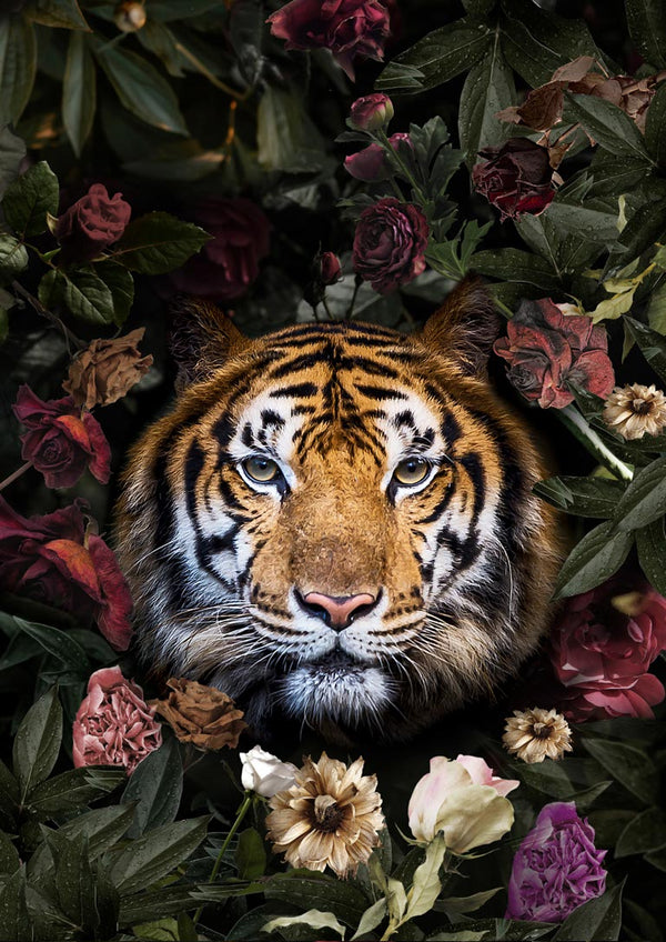 Tiger med blomster plakat