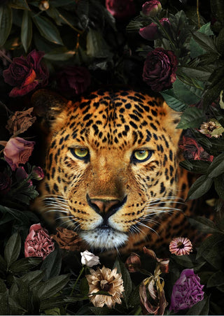 Leopard surrounded by colorful flowers, featured on the Leopard med blomster poster.