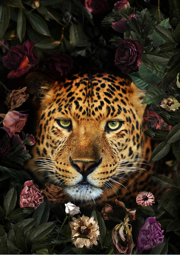 Leopard med blomsterplakat