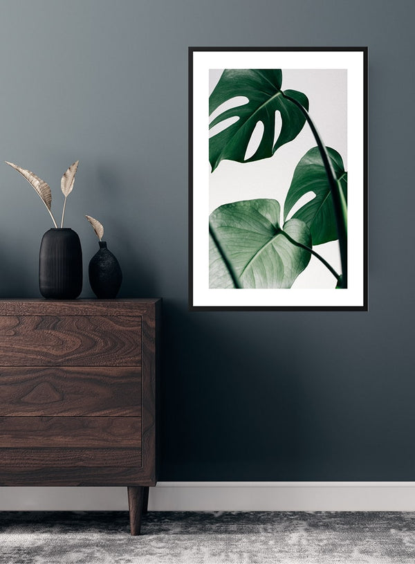 Monstera-blade plakat