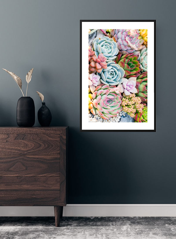 Flerfarvet Sukkulent-plakat