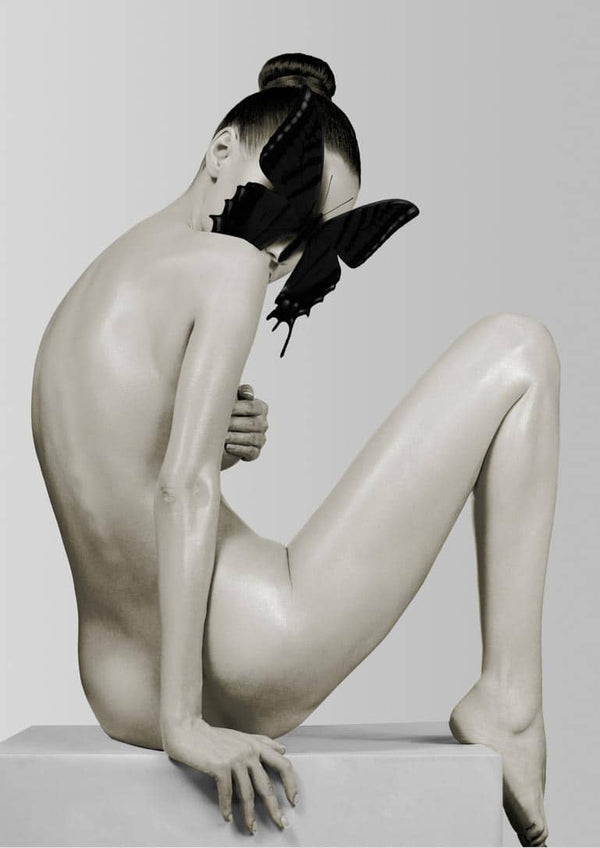 Plakat med sommerfuglemotiv