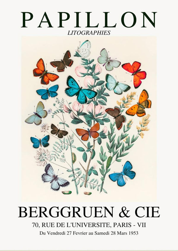 Farverig papillon-udstillingsplakat.