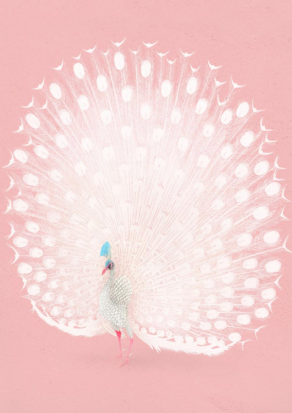 Plakat med lyserød påfugl af Ohara Koson