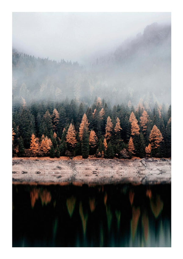 Efterårstræer og en sø Naturposter