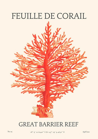 Art print of an orange coral branch labeled "Feuille De Corail No. 04 Plakat, Great Barrier Reef."