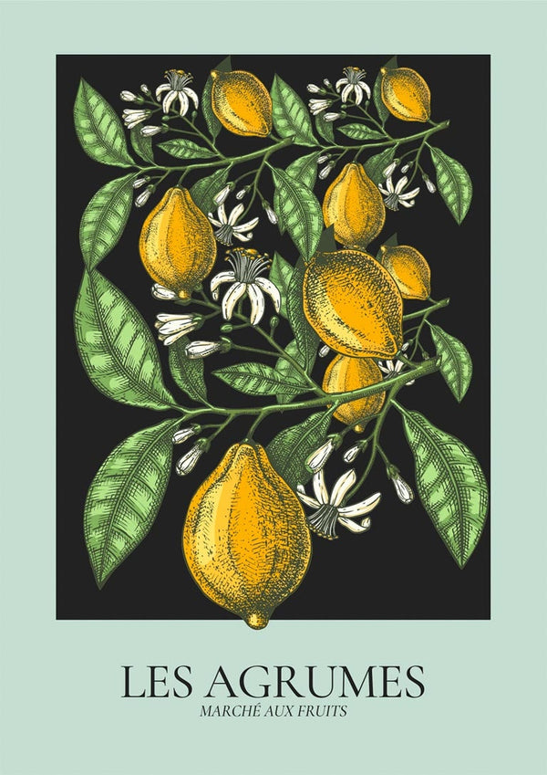 Les Agrumes Grøn Plakat