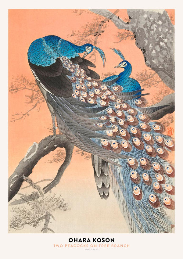 Ohara Koson - To påfugle plakat