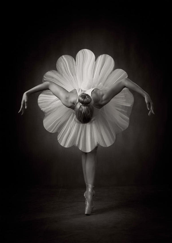 Blomsterballet - Catchlight Studio Plakat