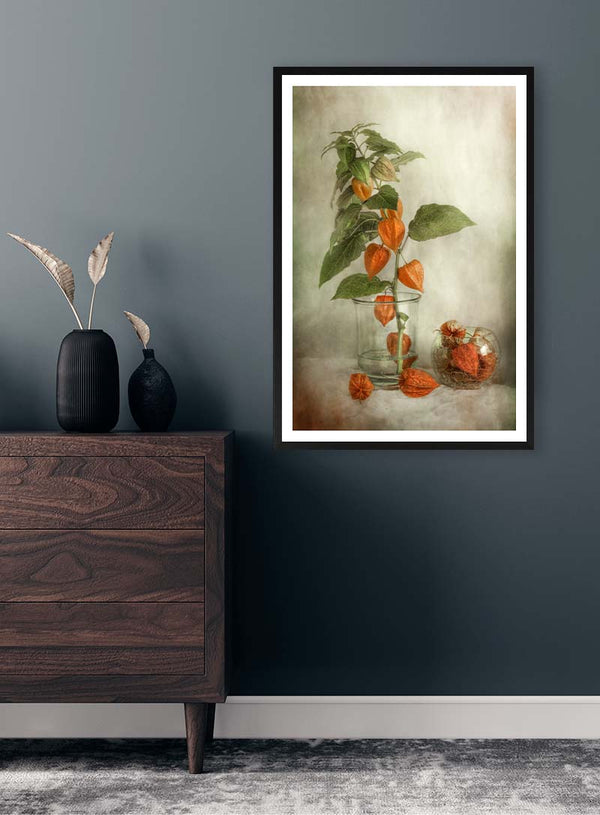 Lanterner - Mandy Disher