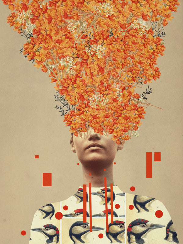 Bird Flight In Autumn - Frank Moth