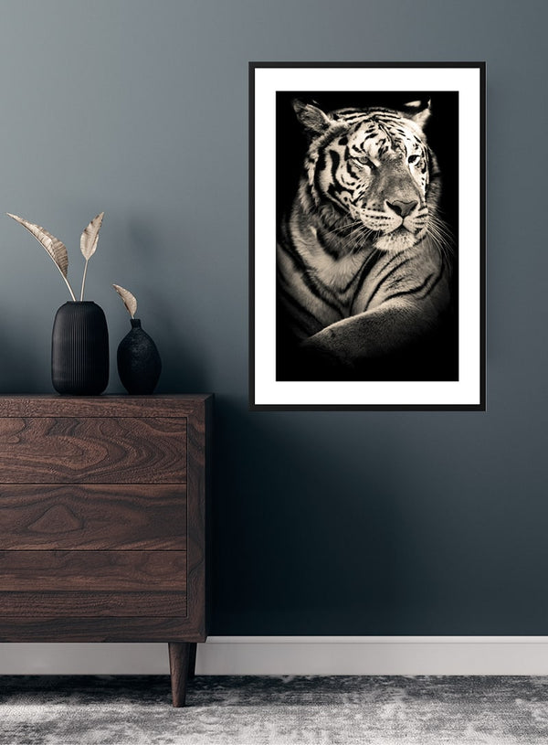 Cool som en istiger-plakat