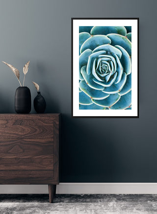 Green Sukkulent poster featuring a vibrant close-up of a succulent plant, displayed above a wooden dresser.