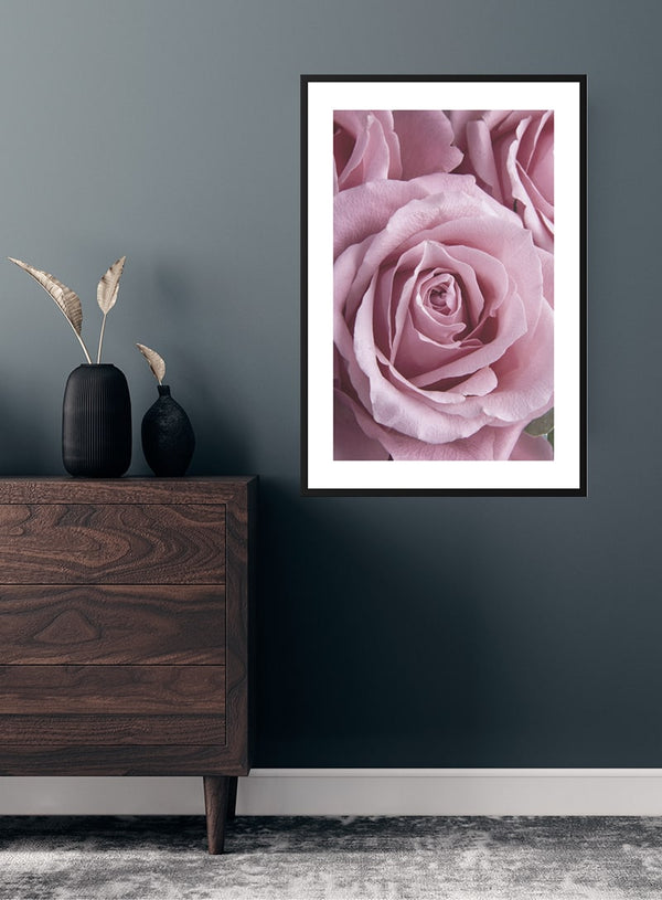 Pink Single Rose plakat
