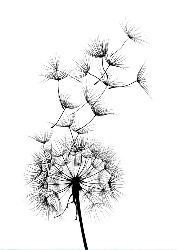 Plakat med sort mælkebøtteblomst