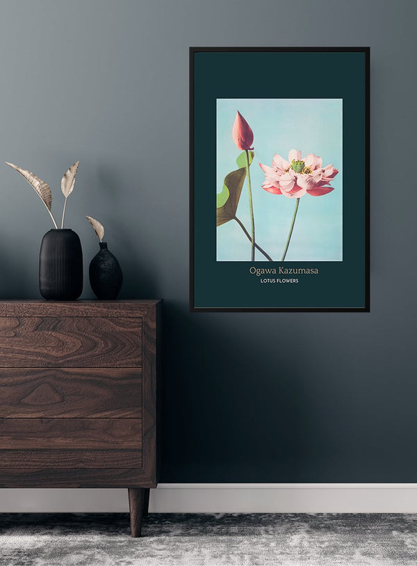 Lotus Flowers af Ogawa Kazumasa japansk kunstplakat
