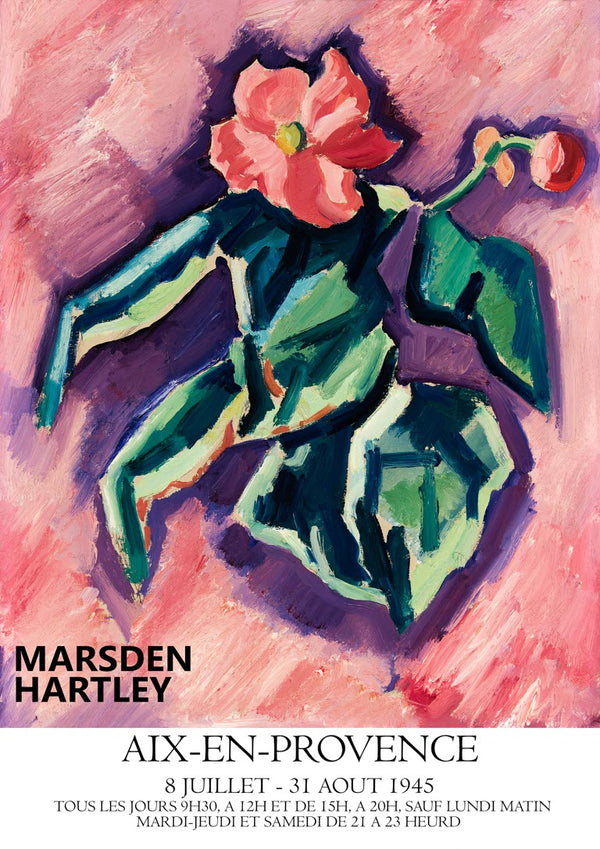 Lyserøde Begonier - Marsden Hartley plakat