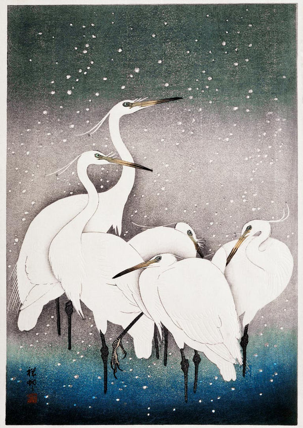 Gruppe af hejrer - Ohara Koson plakat