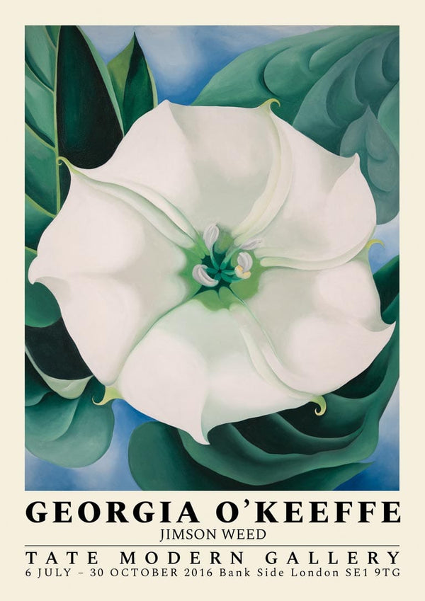 Jimson Weed - Georgia O'Keeffe plakat