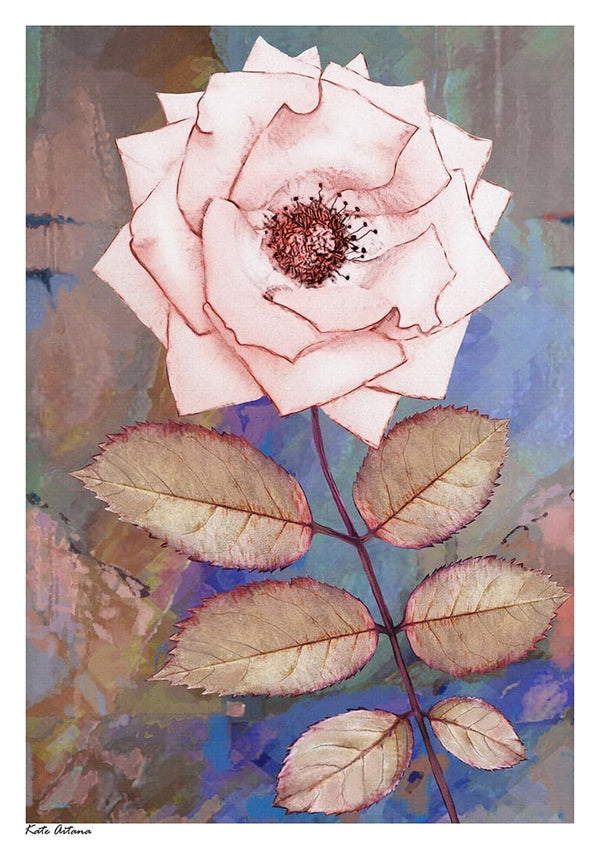 Lyserød Rose - Kate Aitana