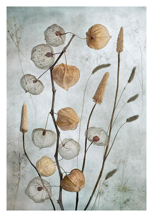 Lanterner 02 - Mandy Disher