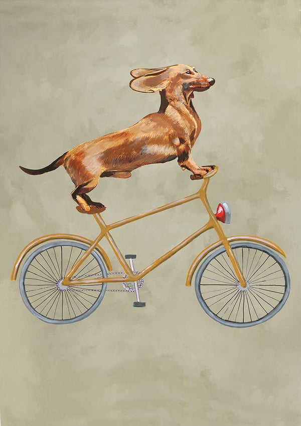 Daschund på cykel - Coco de Paris