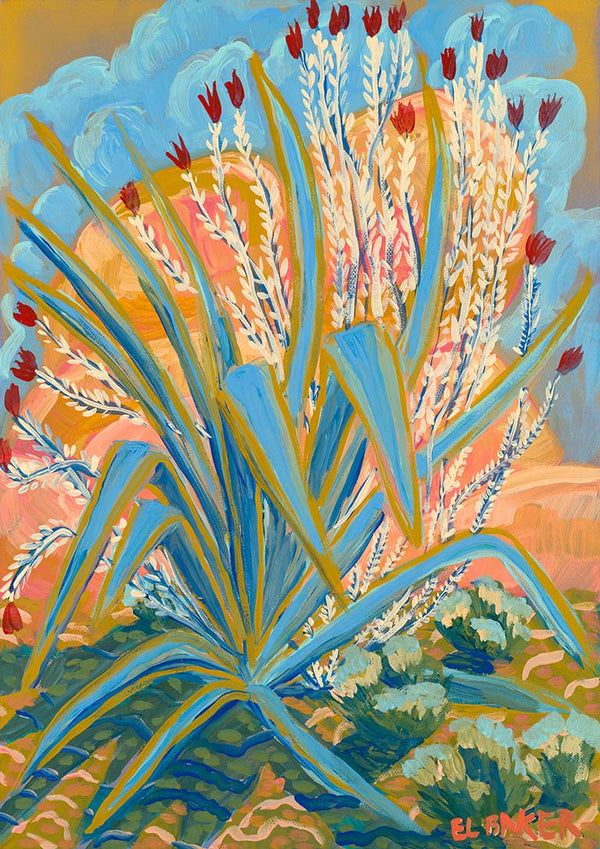 Agaveplante - Eleanor Baker