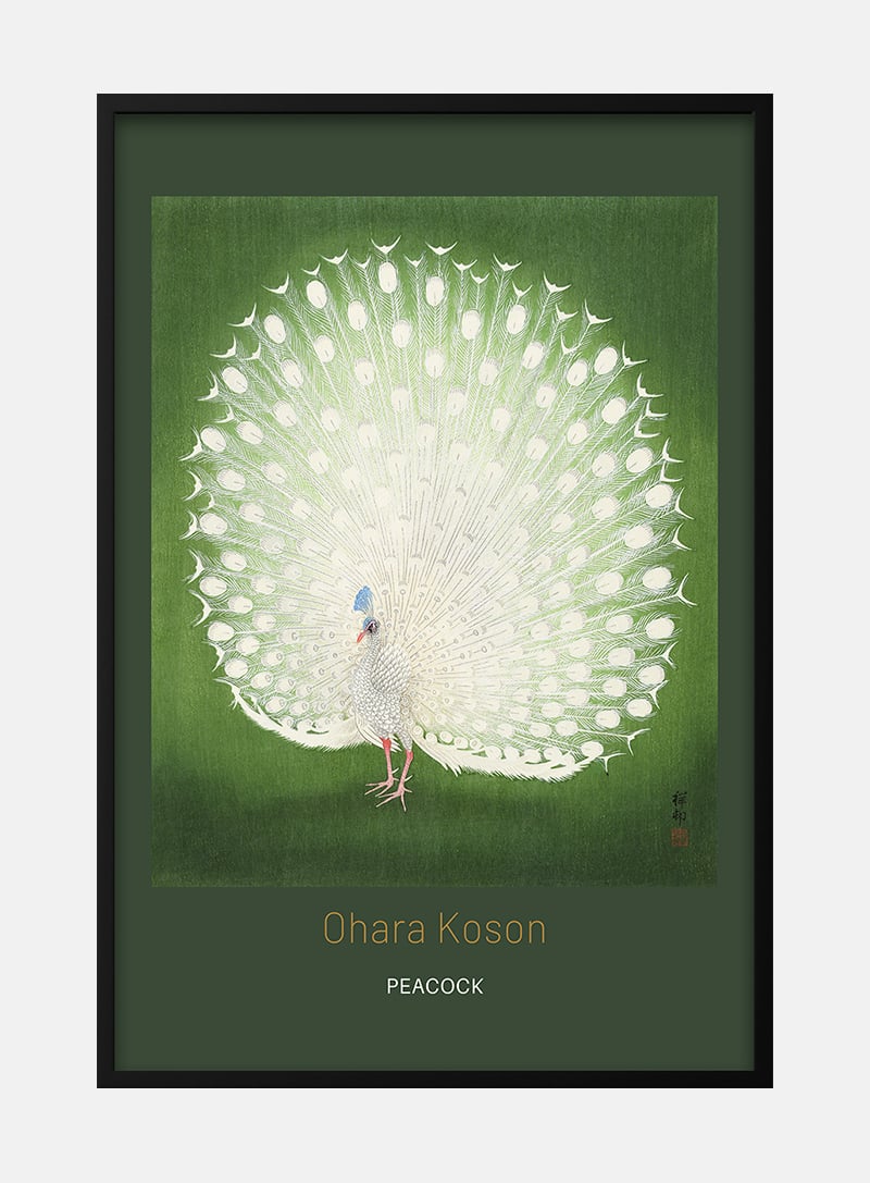 Peacock byÂ Ohara KosonÂ japansk kunstplakat
