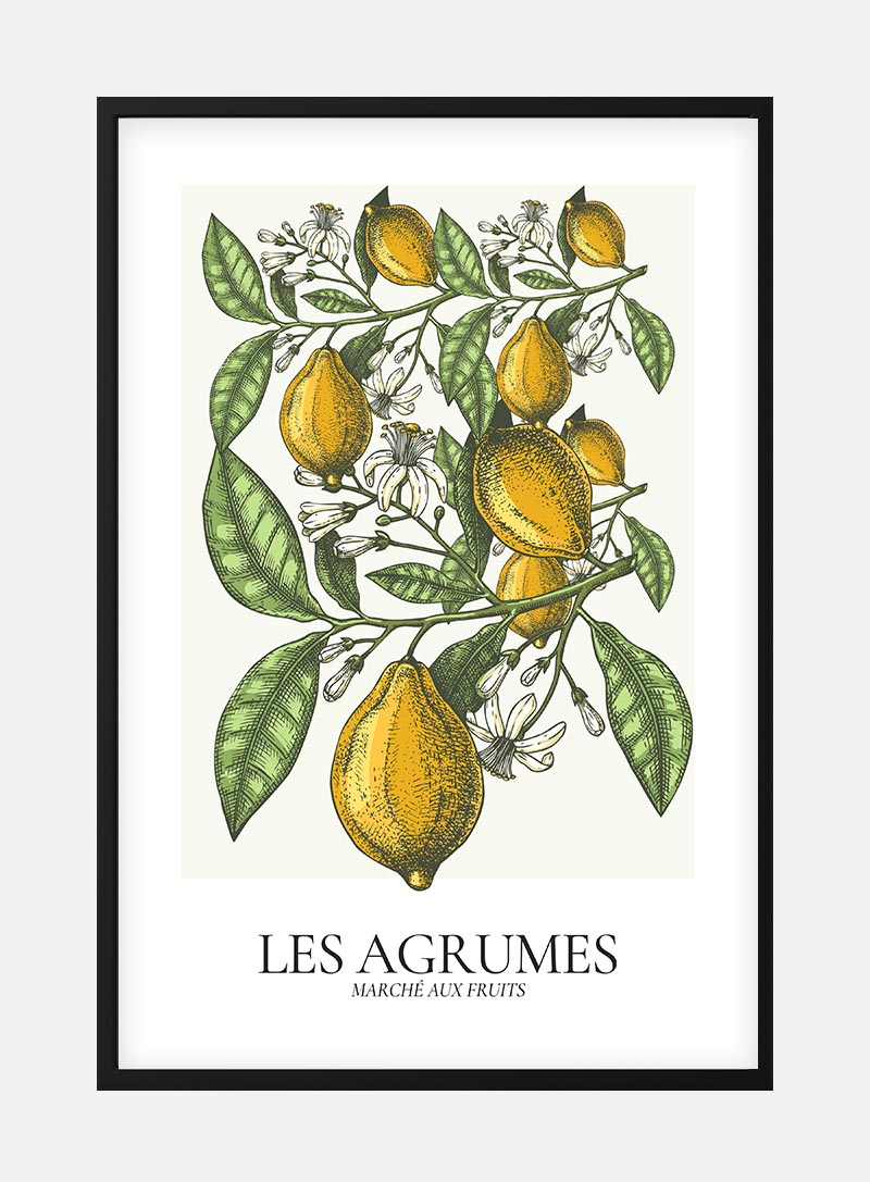 Billede af Les Agrumes Plakat til stuen