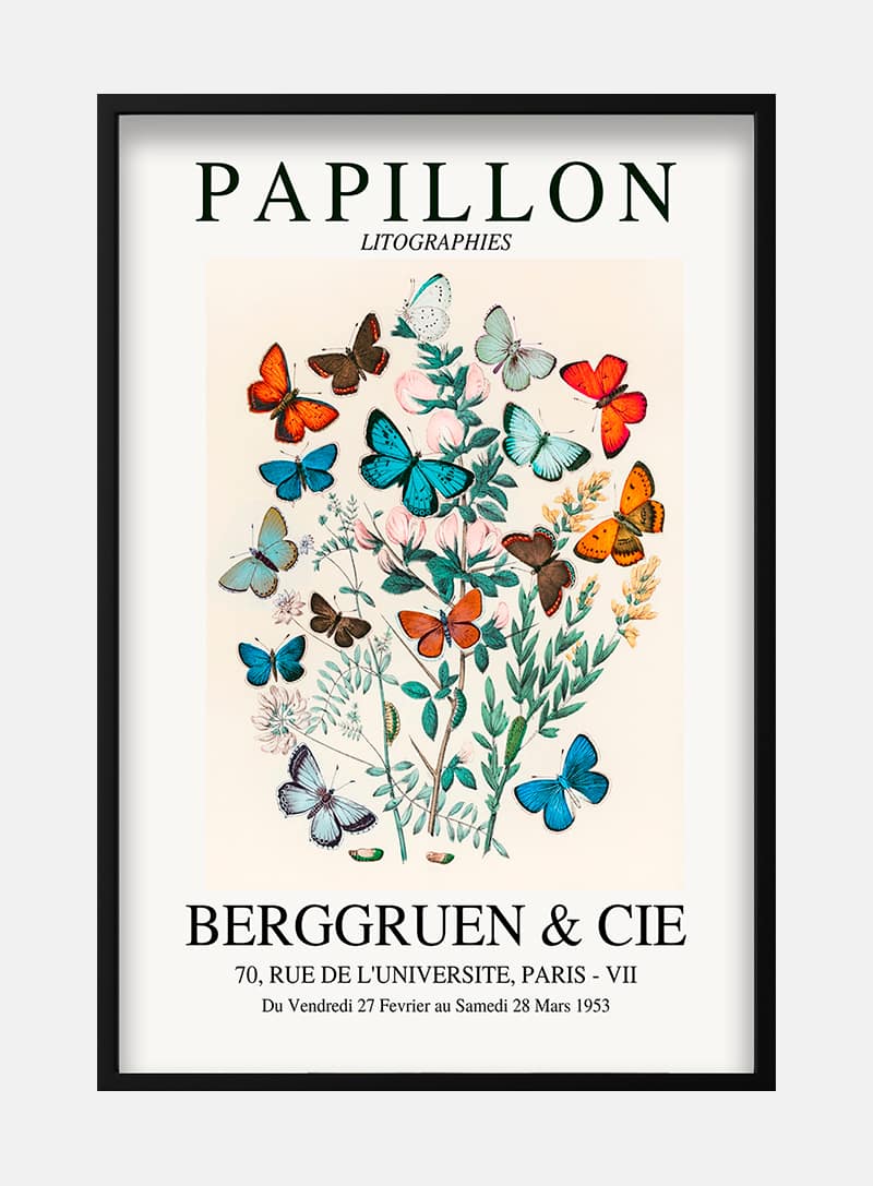 Colorful papillon exhibition plakat.