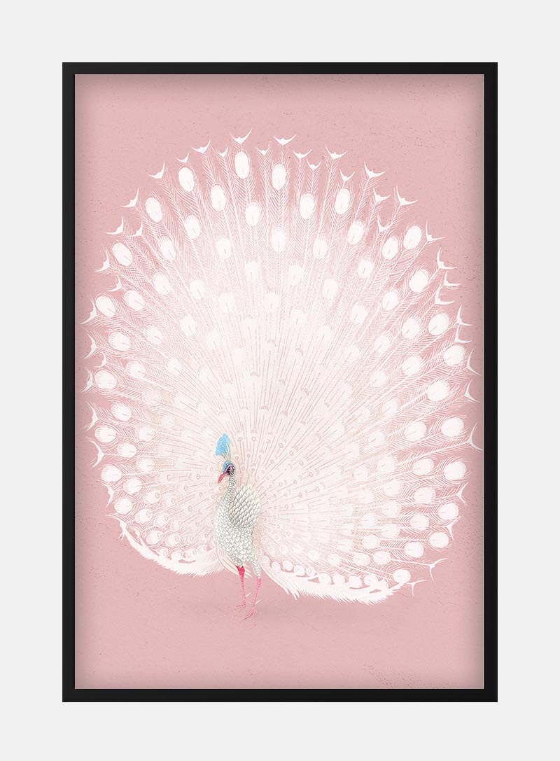 Billede af Pink peacock by Ohara Koson plakat