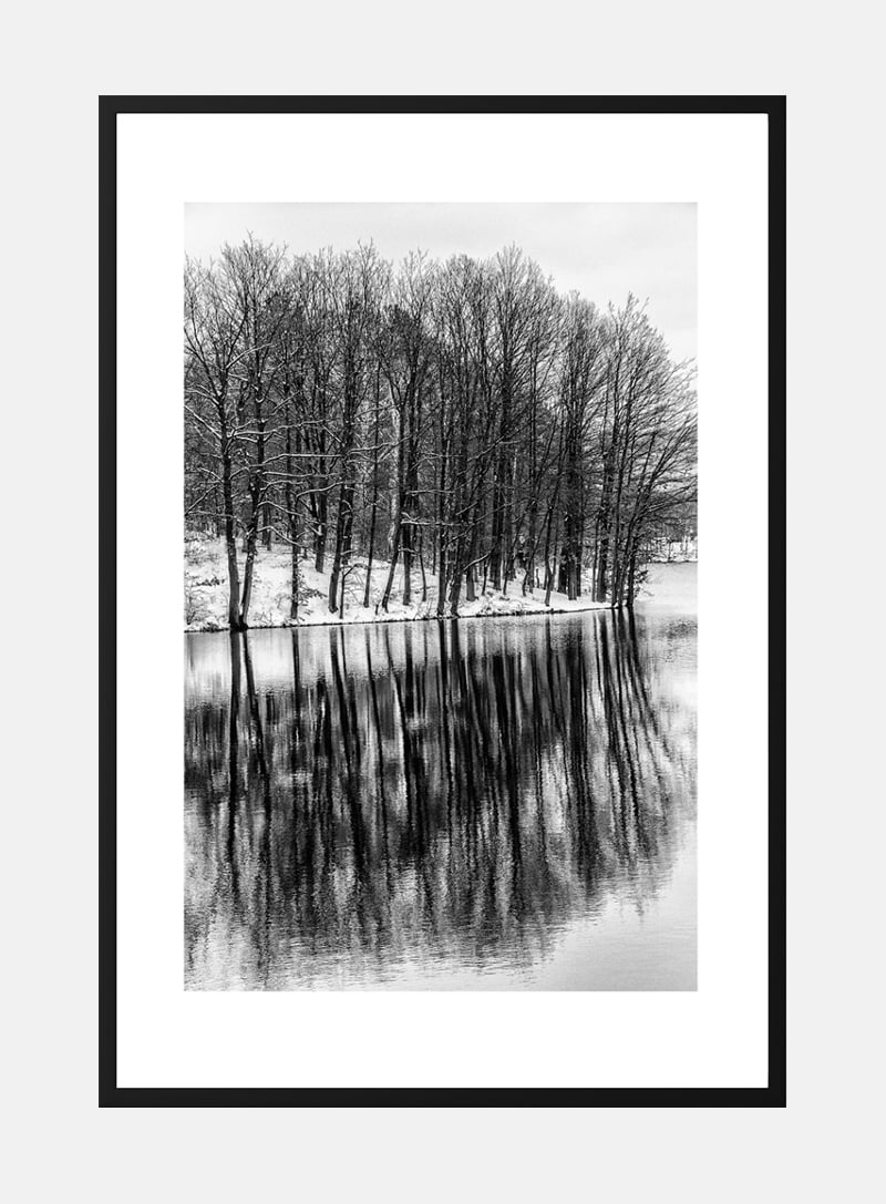 Træer der spejler i søen plakat