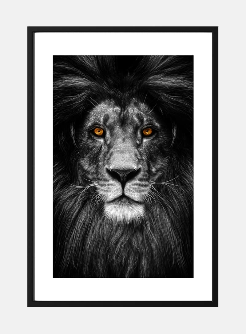 Billede af Løve plakat