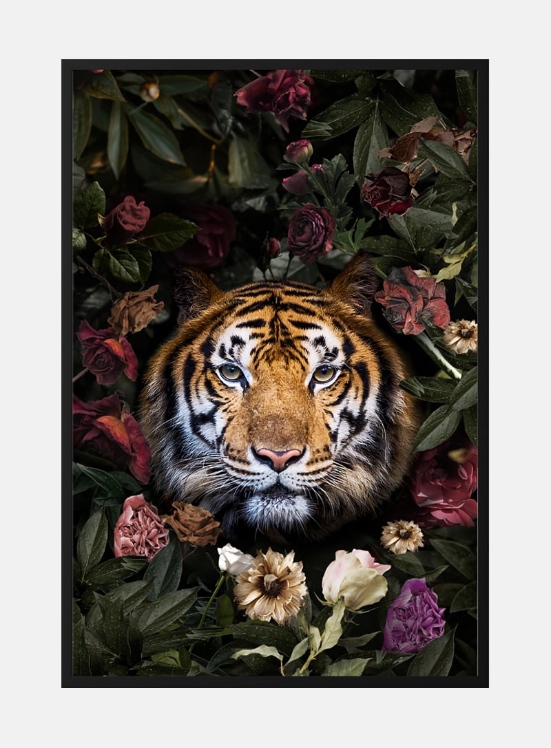 Tiger med blomster plakat