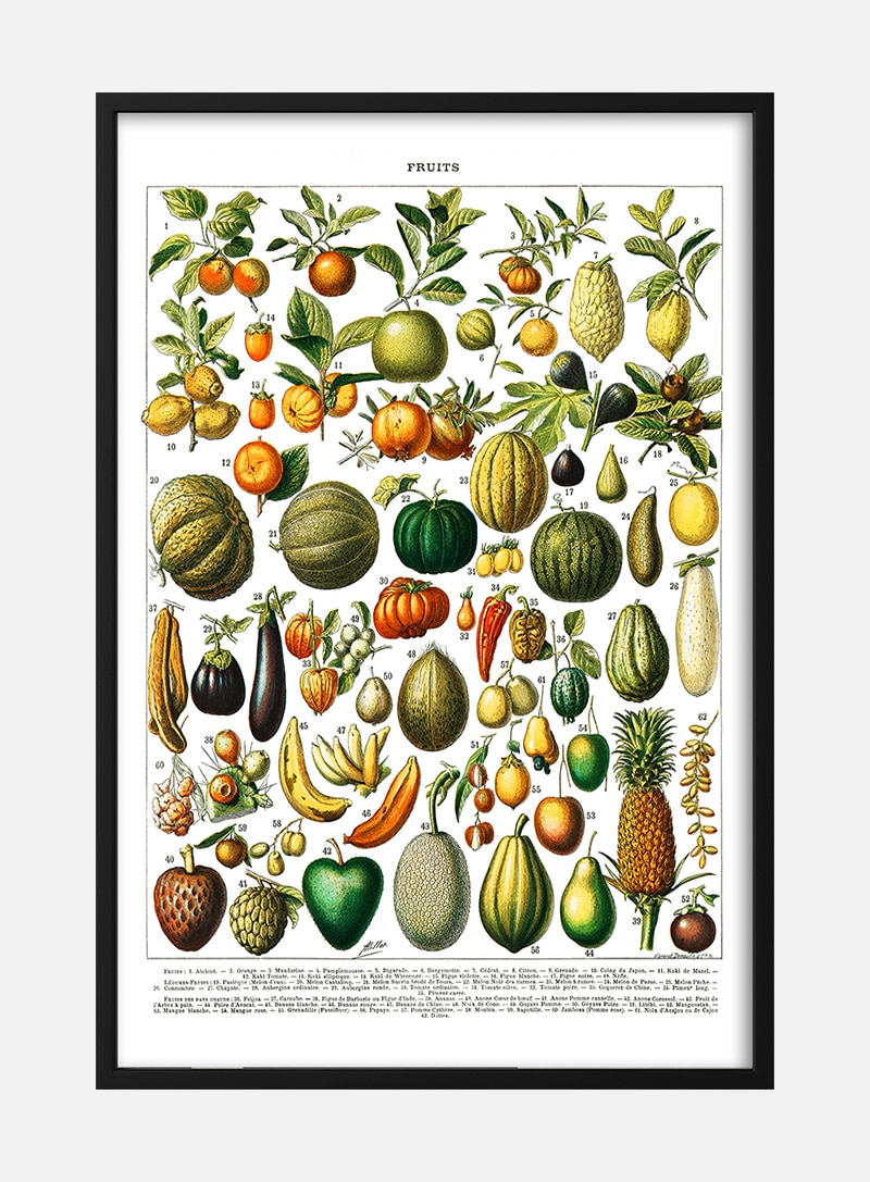 Billede af Vintage Fruit and Vegetable Plakat