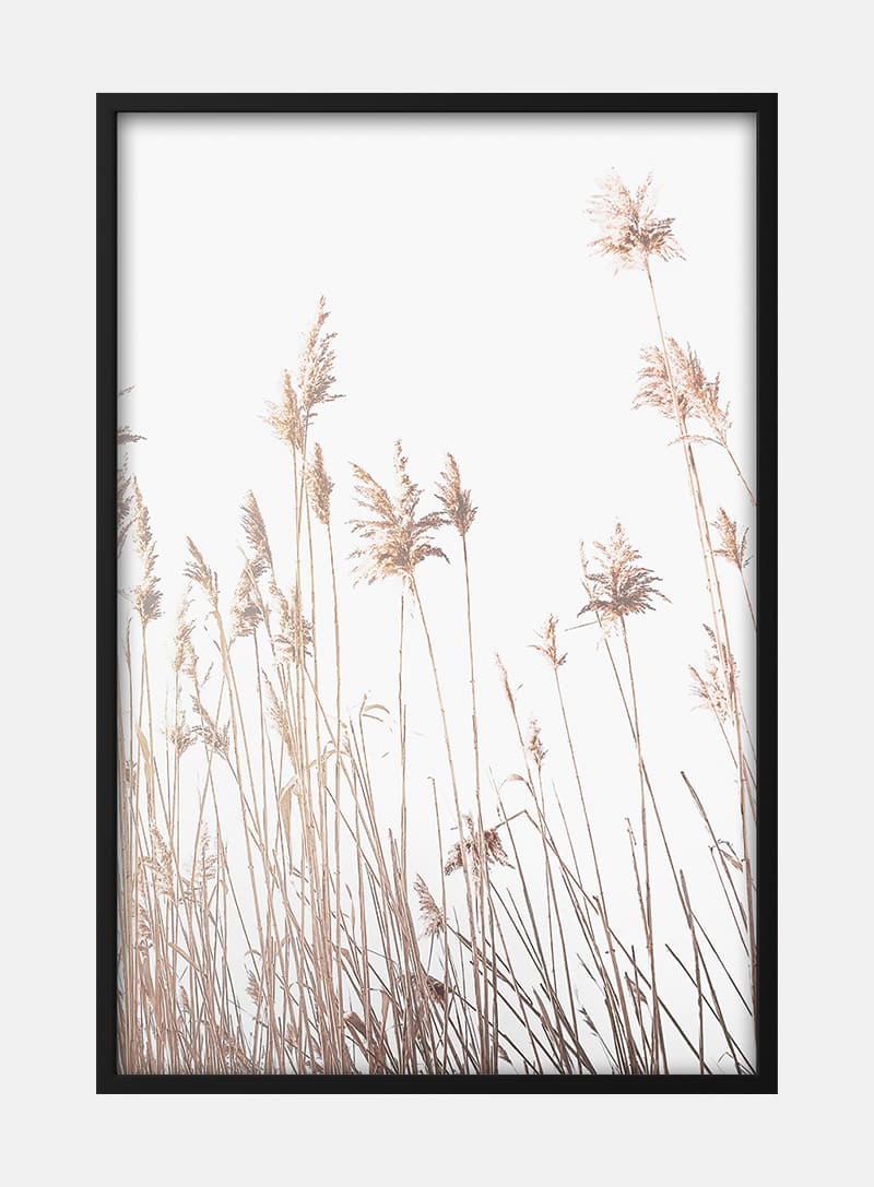 Billede af Abstract Reeds Naturplakat
