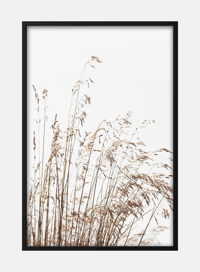 Billede af Abstract Reeds No. 2 Plakat