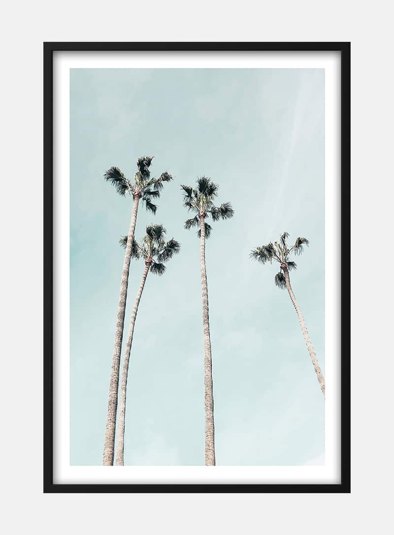 Billede af Tall Palms Plakat