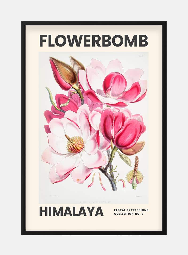 Flowerbomb - Himalaya Kunstplakat