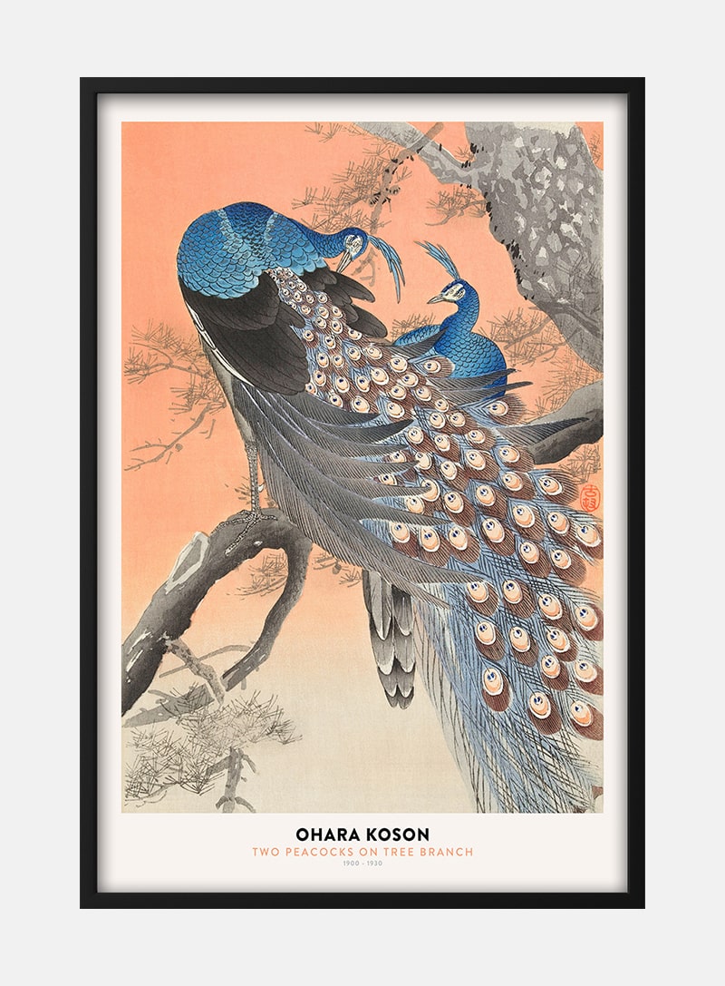 Ohara Koson - Two Peacocks Plakat