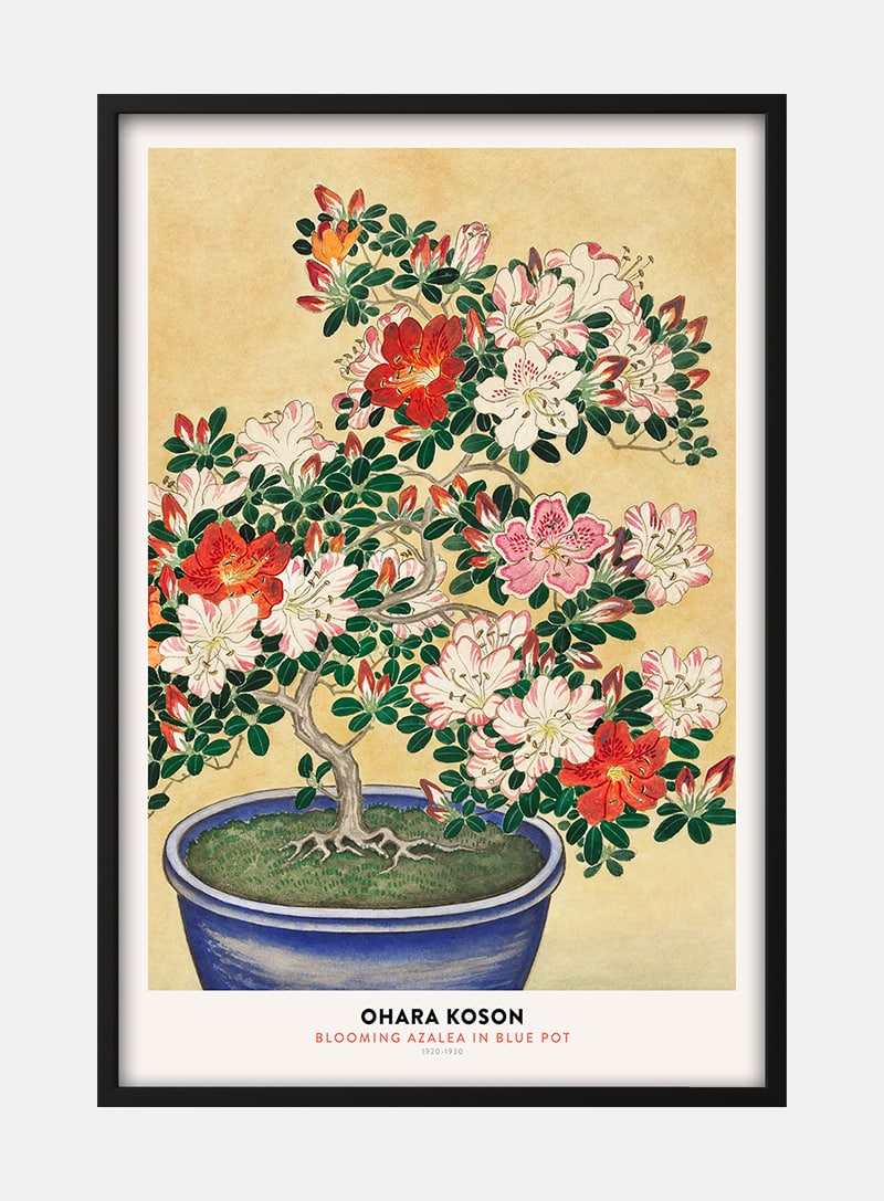 Billede af Ohara Koson - Blooming Azalea Plakat