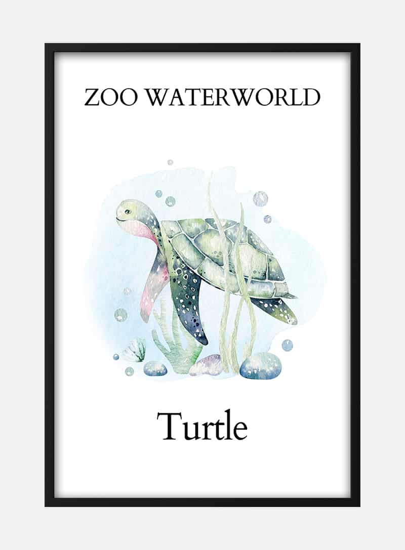 Billede af Zoo Waterworld - Turtle