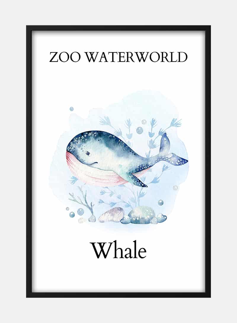 Billede af Zoo Waterworld - Whale Plakat