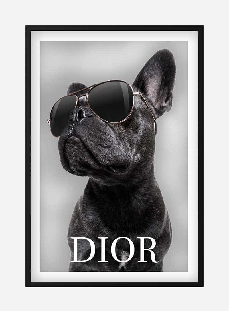 Bulldog Dior Plakat